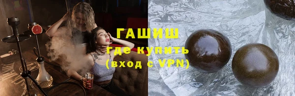 шишки Надым