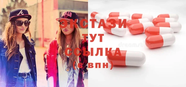 шишки Надым