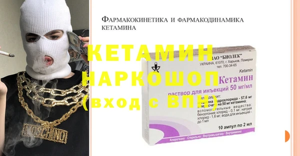 шишки Надым