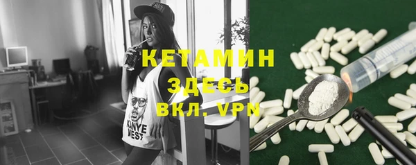 шишки Надым