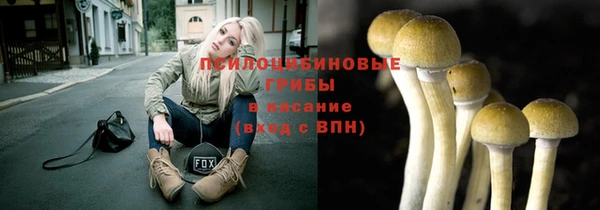 шишки Надым