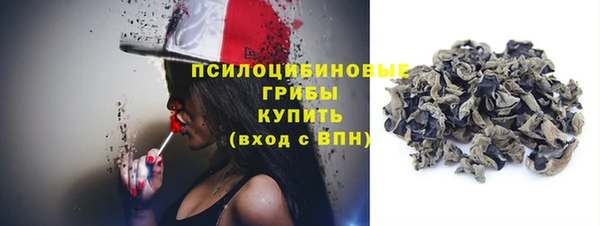 шишки Надым