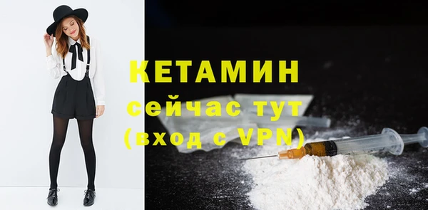шишки Надым