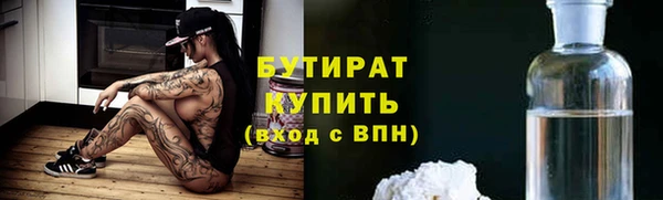 шишки Надым