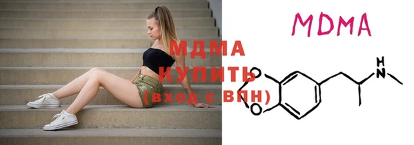шишки Надым