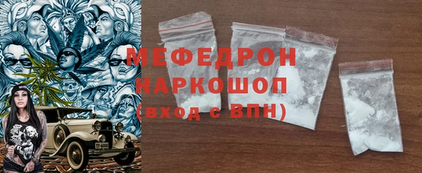 шишки Надым