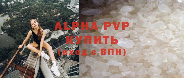шишки Надым