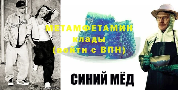 шишки Надым