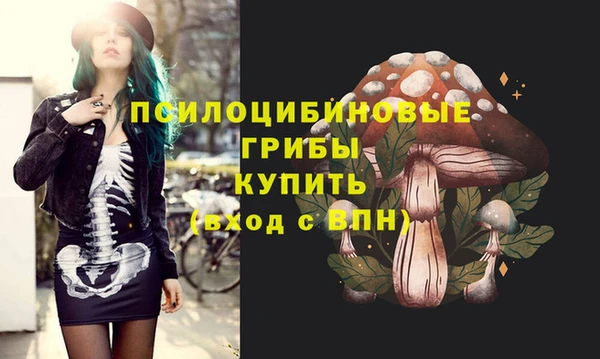 индика Навашино
